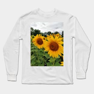 Big sunflowers Long Sleeve T-Shirt